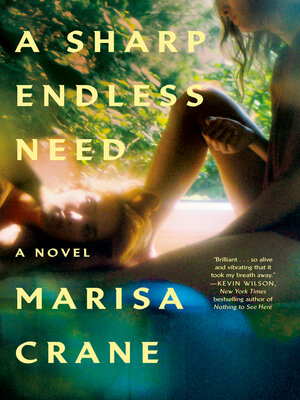 A Sharp Endless Need - ebook
